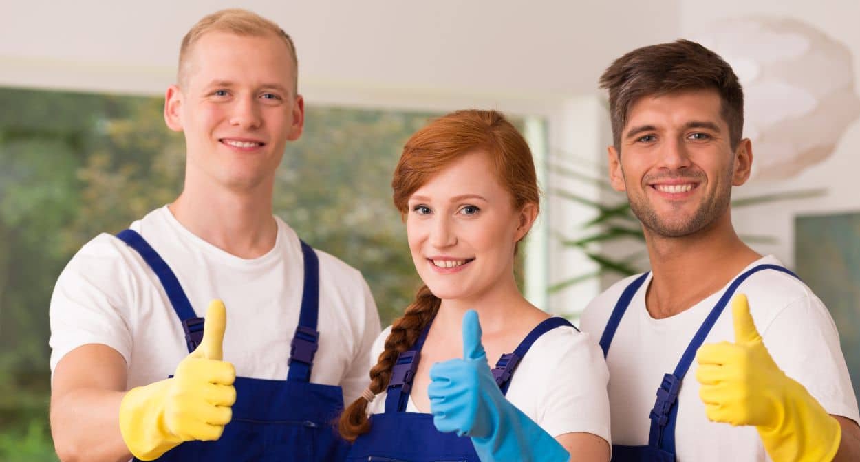 The Importance of Professional Cleaning
